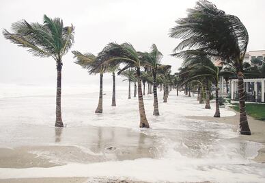 Deja "Bud" a 2 mil en albergues y turistas varados en Los Cabos