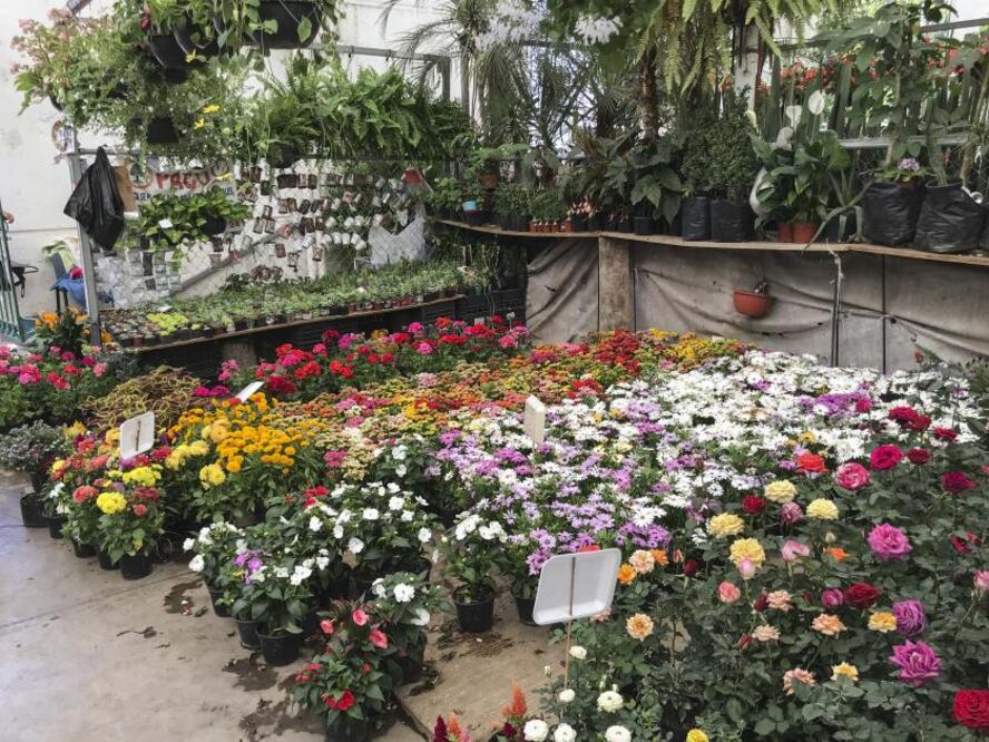 Foto: Demian Chávez, El Universal Querétaro