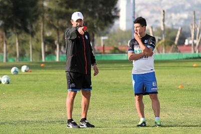Gallos toman aire para seguir en lucha
