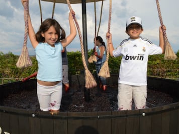 Promoción turística al estado, en Europa