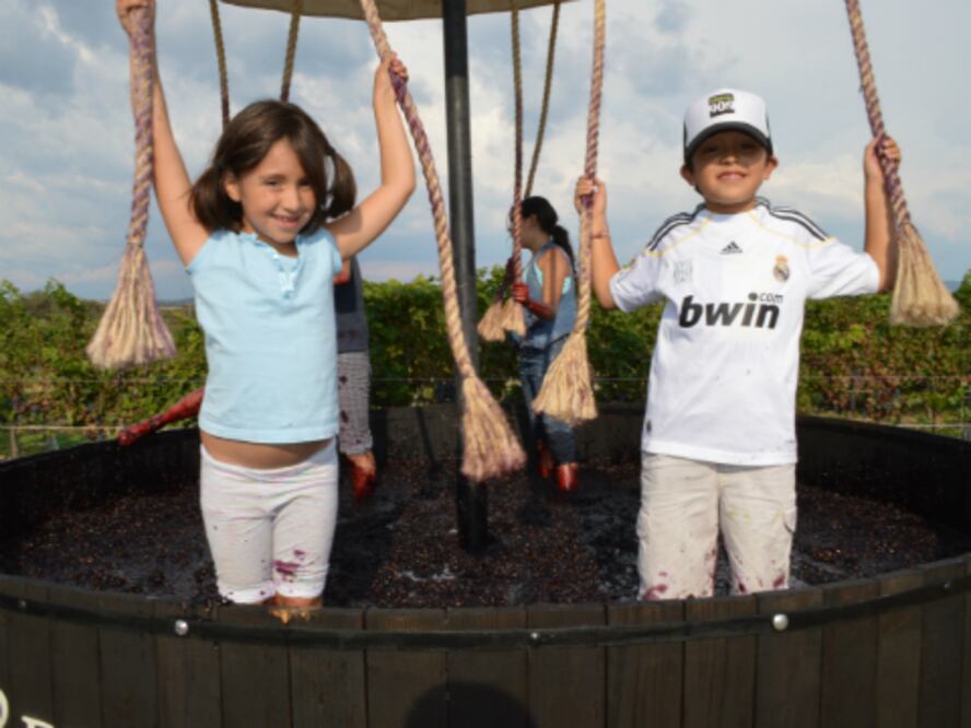 Promoción turística al estado, en Europa