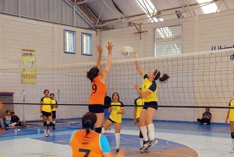 Van 700 a Copa Federación 2014