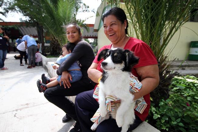Piden no regalar mascotas en Navidad