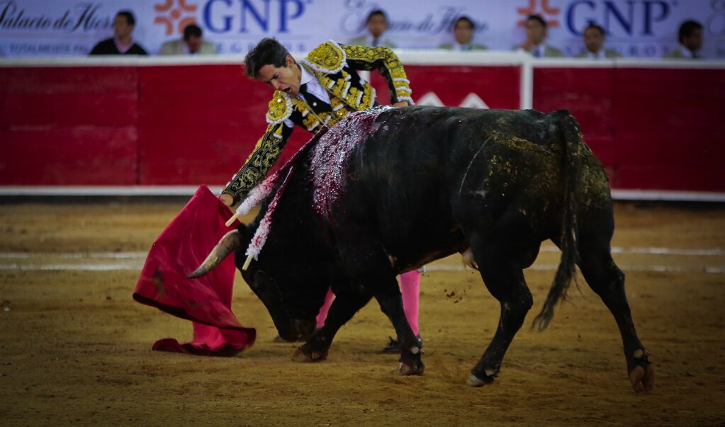 Aceptan a menores en corridas de toros