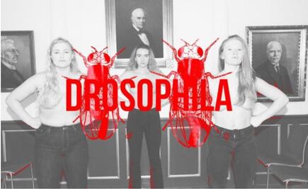 Facebook censura a artista islandesa