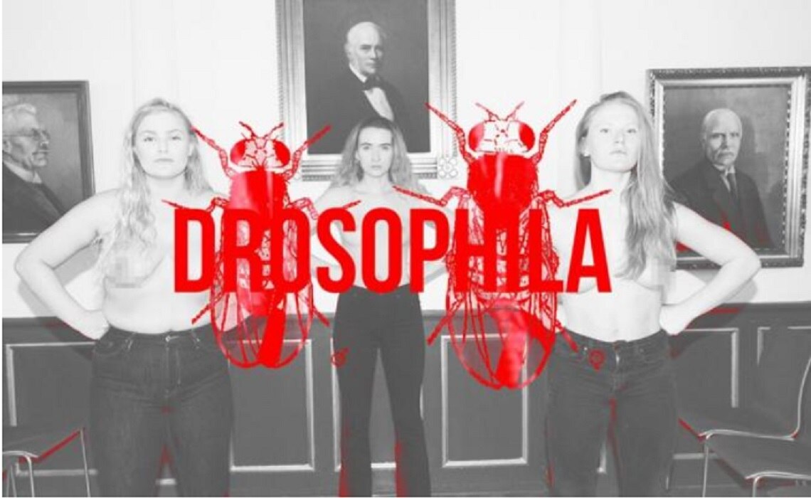 La artista islandesa Borghildur Indridadóttir sacó el proyecto Demoncrazy. Foto: Facebook Borghildur Indridadóttir/Demoncrazy