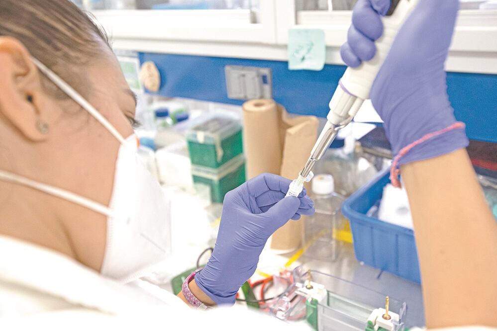 Foto: Demian Chávez