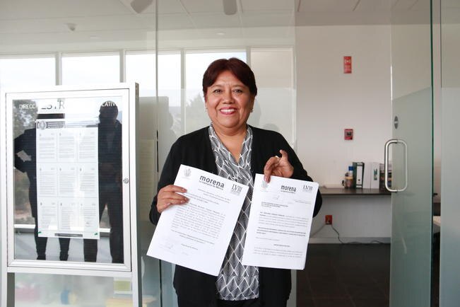 Diputada de Morena pide bajar 50% salario a funcionarios