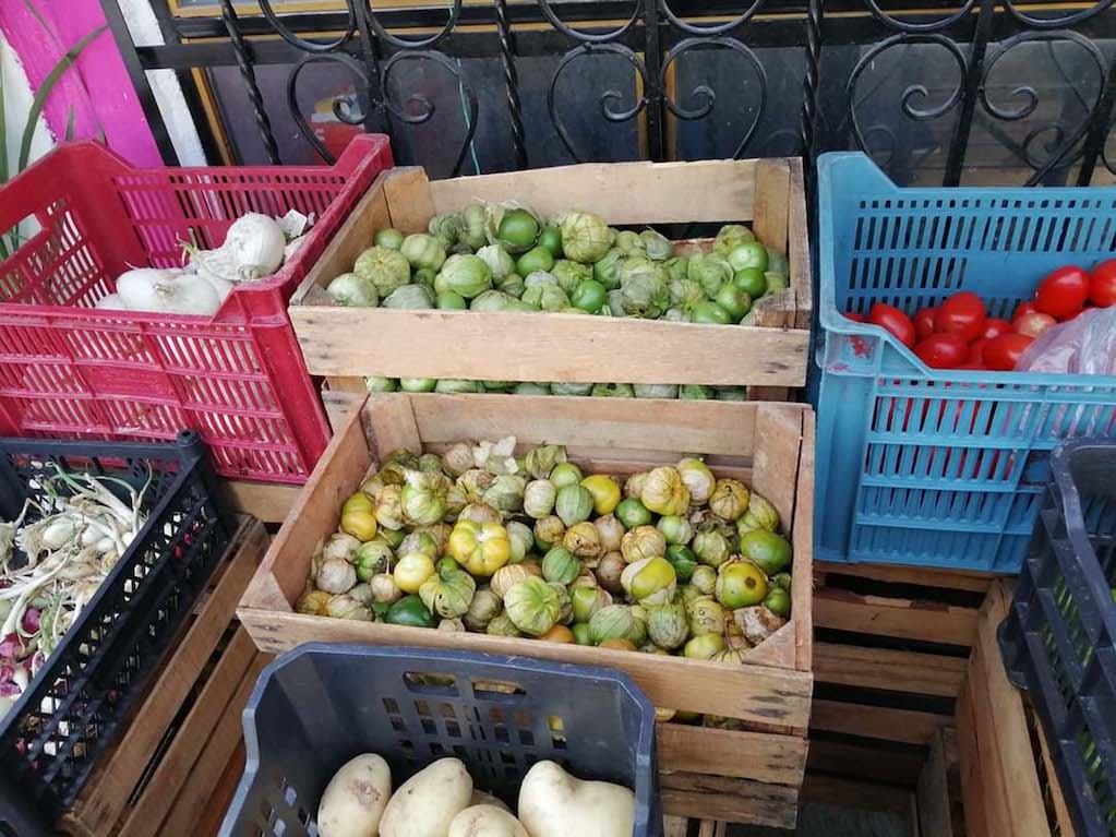 Hasta 49 pesos, sube el kilo de tomate en Querétaro