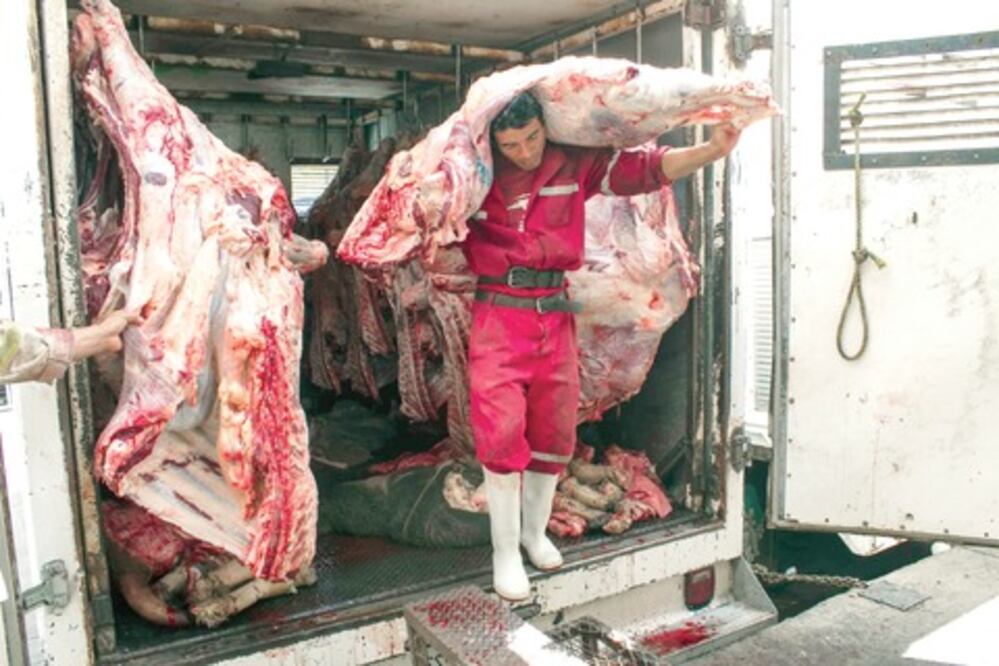 Inspeccionan centros de matanza clandestinos