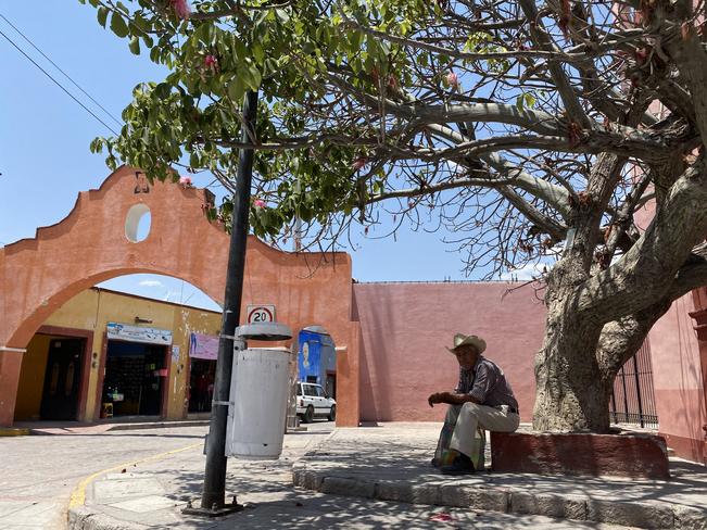 Un ejemplo. Covid-19 no ha llegado a Tolimán