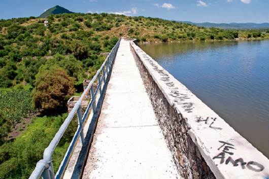 Desfogan nueve presas