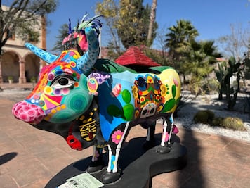 La muestra "Buey de Arte y Tradición" llega a los jardines del CEART