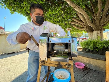 En pleno corazón de la Sierra Gorda, vende nieves de nopal y eucalipto para el cuidado de la salud