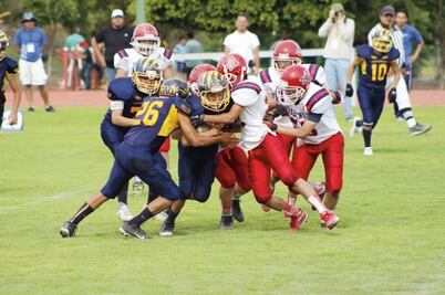 Cuatro de seis para los Gatos Salvajes