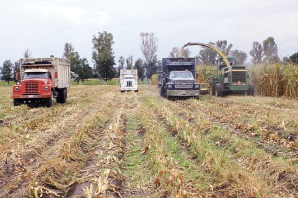 Capital triplica su producción  