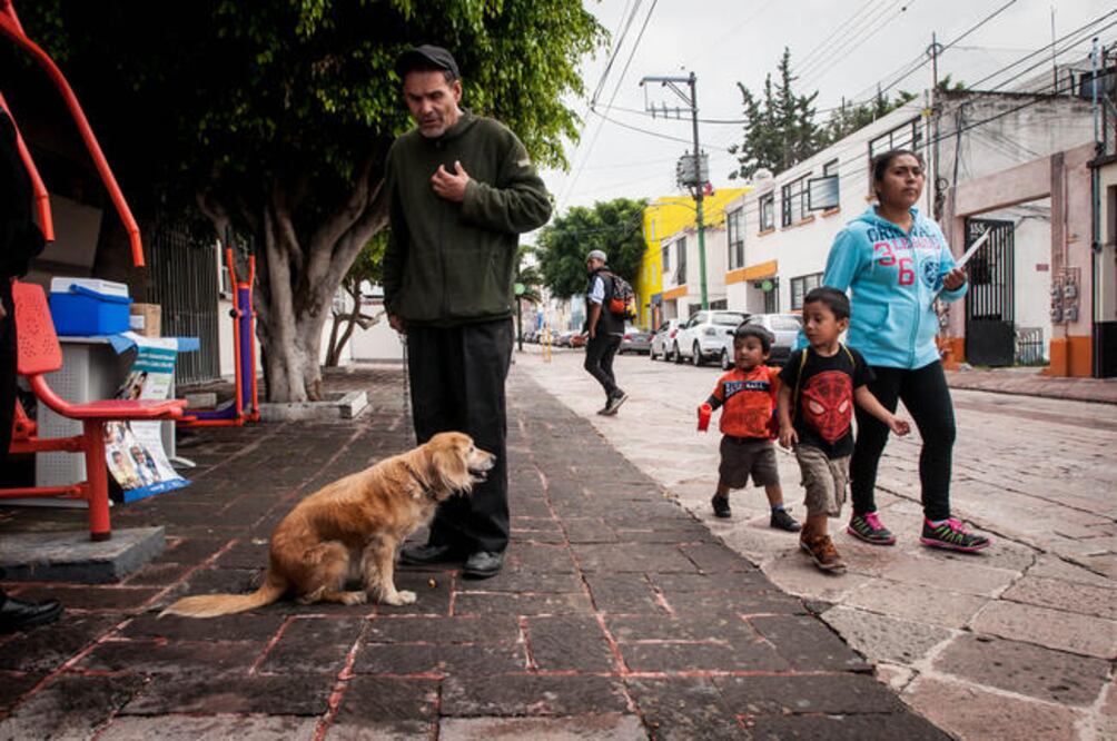 Chispita, la perrita color miel sabe trucos, pues obedece a Iván cuando le dice que se siente y le da mano. Luego de eso, viene una caricia en la cabeza para ella. (Foto: RICARDO LUGO)