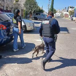 Por maltrato animal, sancionan a sujeto 