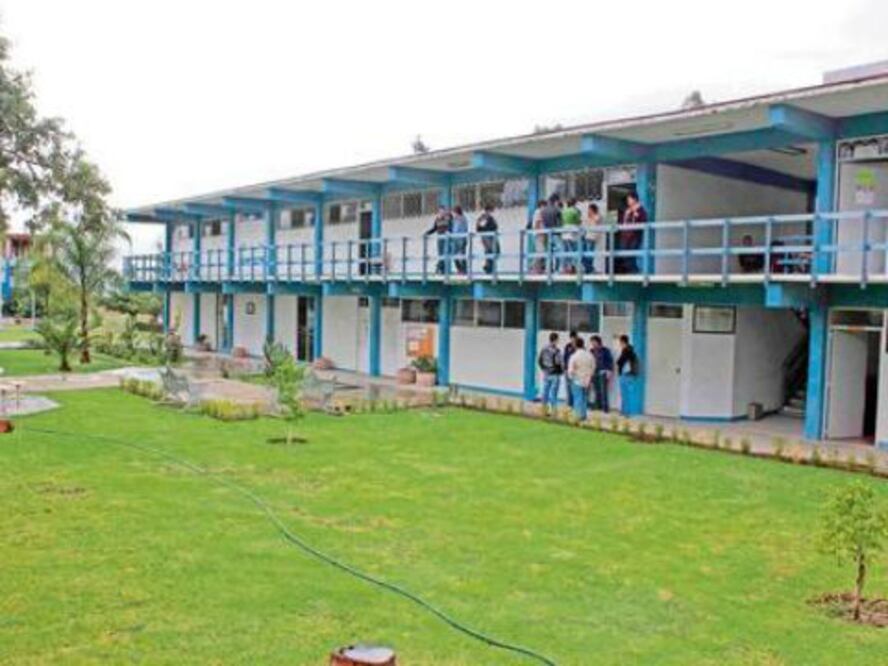 30% de alumnos padecen obesidad