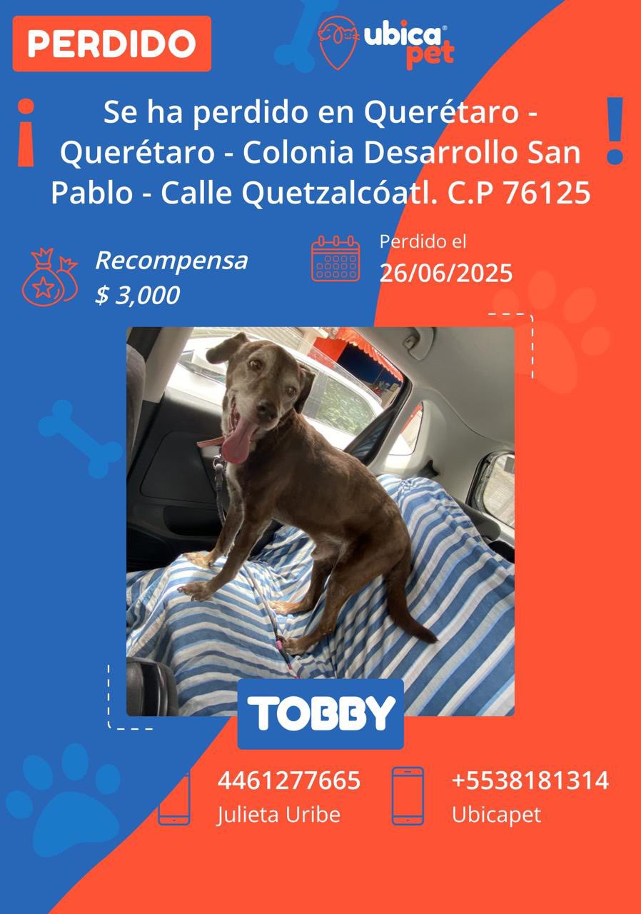 Foto: Tomada de Facebook