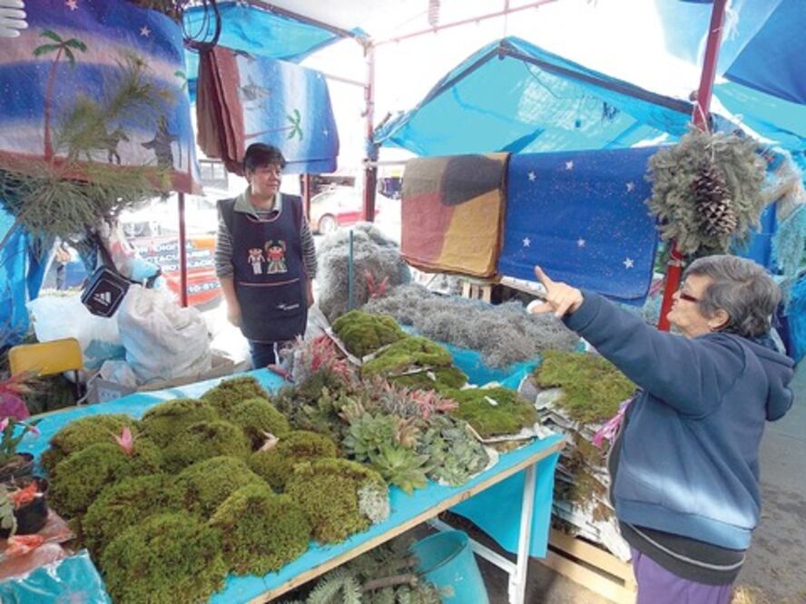 Apoyo para techumbres