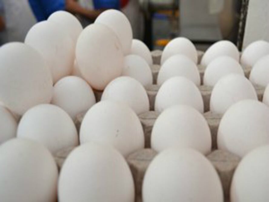 ¿Cómo llega México al Día Mundial del Huevo?