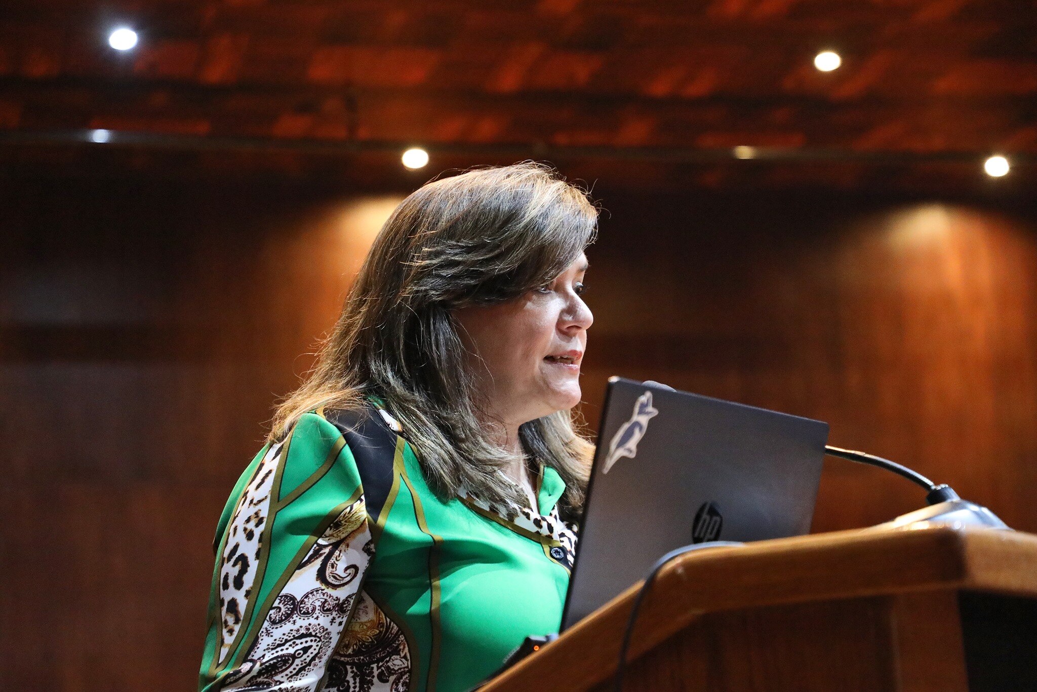 Foto: FB Silvia Amaya Llano