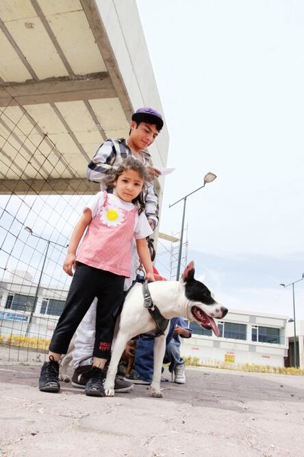 Convocan a primer “adoptatón”