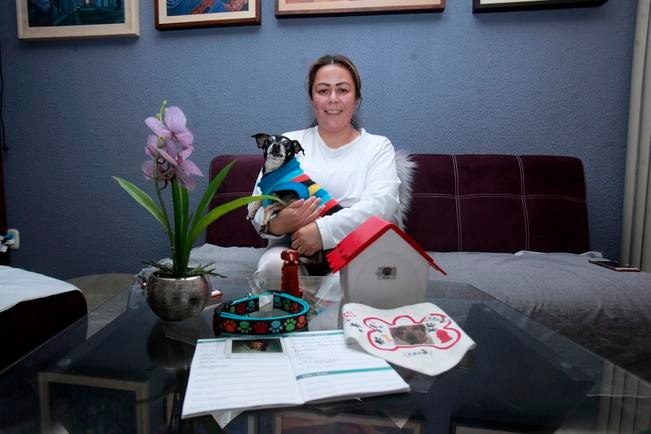 Crema a su mascota como acto de amor