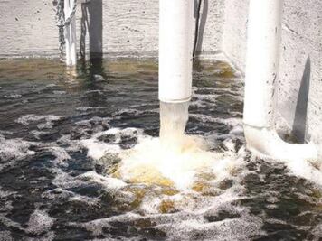 Rehabilitará JAPAM pozos con 40 mdp 