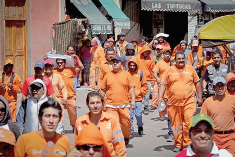 Recolectores con derecho a liquidación sin despido