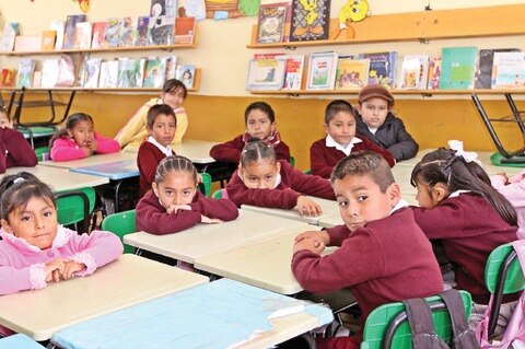 Sin bibliotecas en escuelas