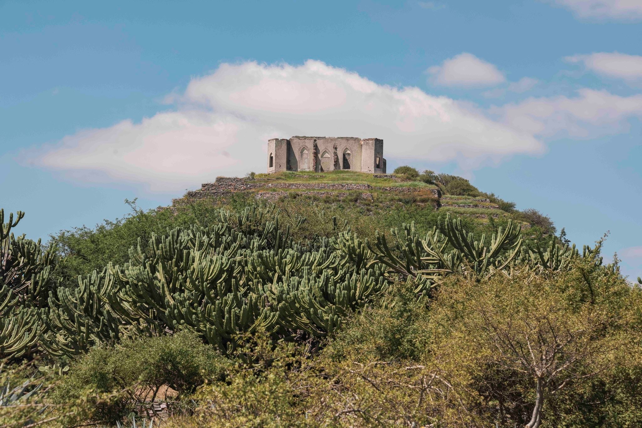 Corregidora obtiene el Sello de Biodiversidad