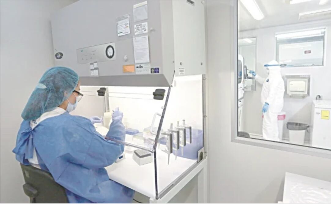 Las muestras son rastreadas desde su llegada y hasta la emisión de resultados, dice jefa de Biotecnología Molecular