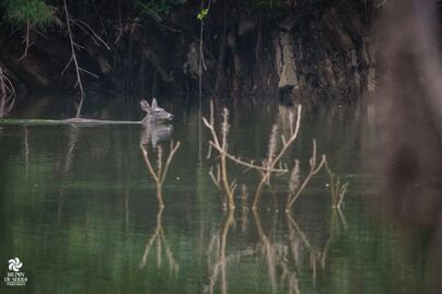 Comenzarán a sanear ríos en la Sierra Gorda de Querétaro