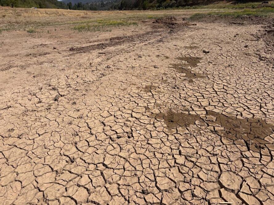 Foto: Archivo El Universal