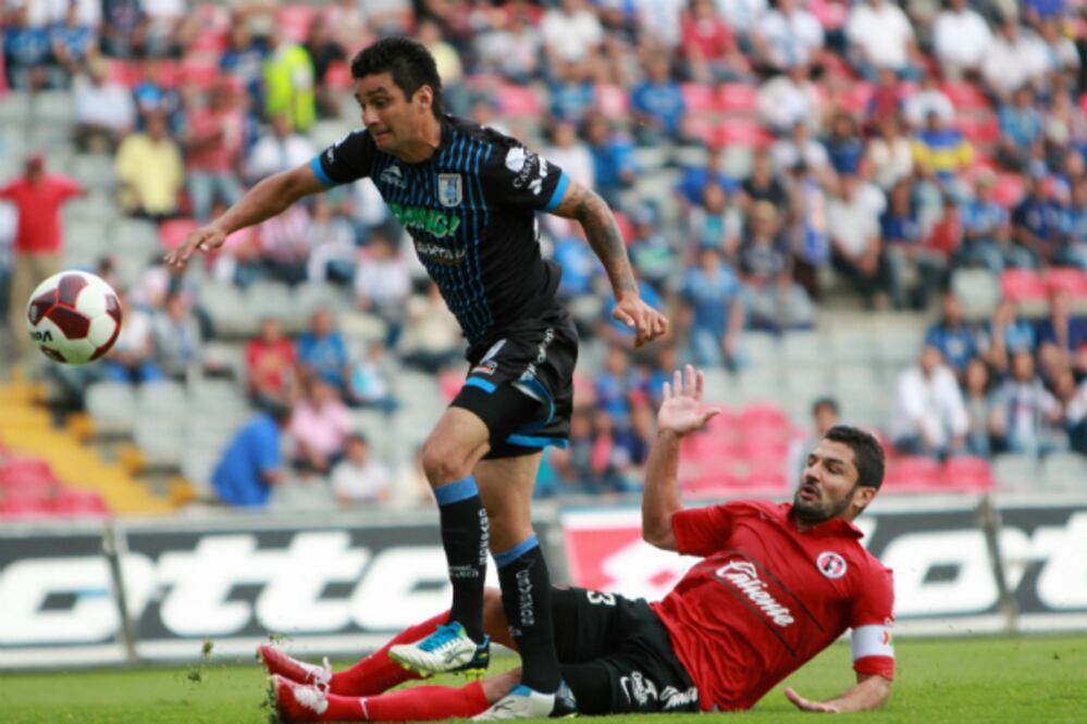 “San Atlas”, salvador de Gallos Blancos