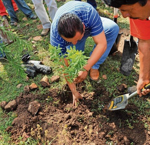 Aprovecharán de forma sustentable los recursos