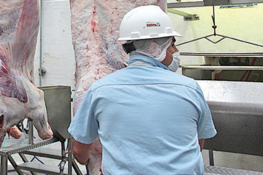 Cumplen productores certificación sanitaria