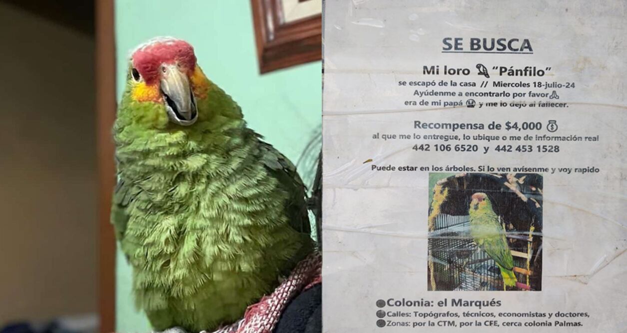 Foto: Captura de pantalla