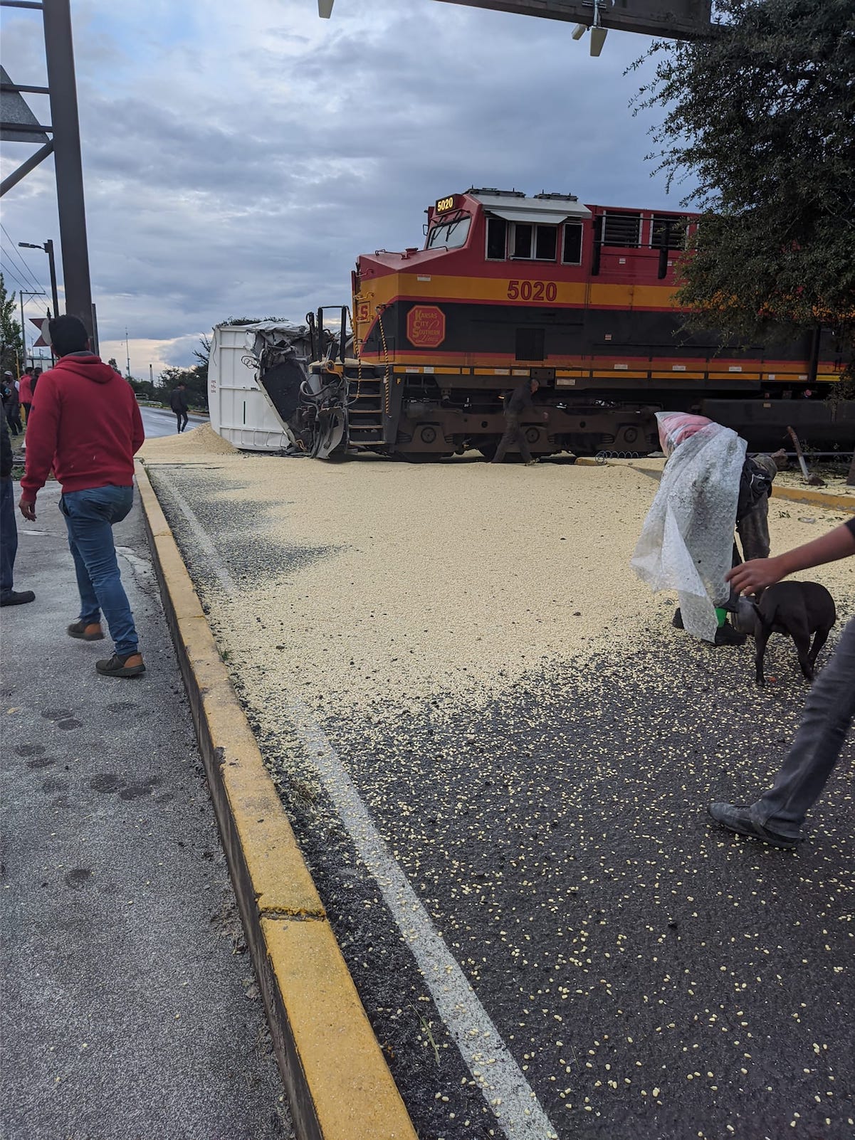 Decenas de pobladores de San Juan del Río roban maíz