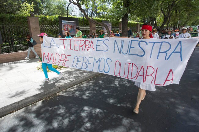 Protestan por tala de árboles en Zaragoza