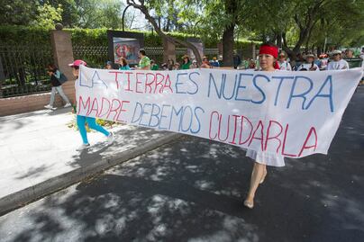 Protestan por tala de árboles en Zaragoza