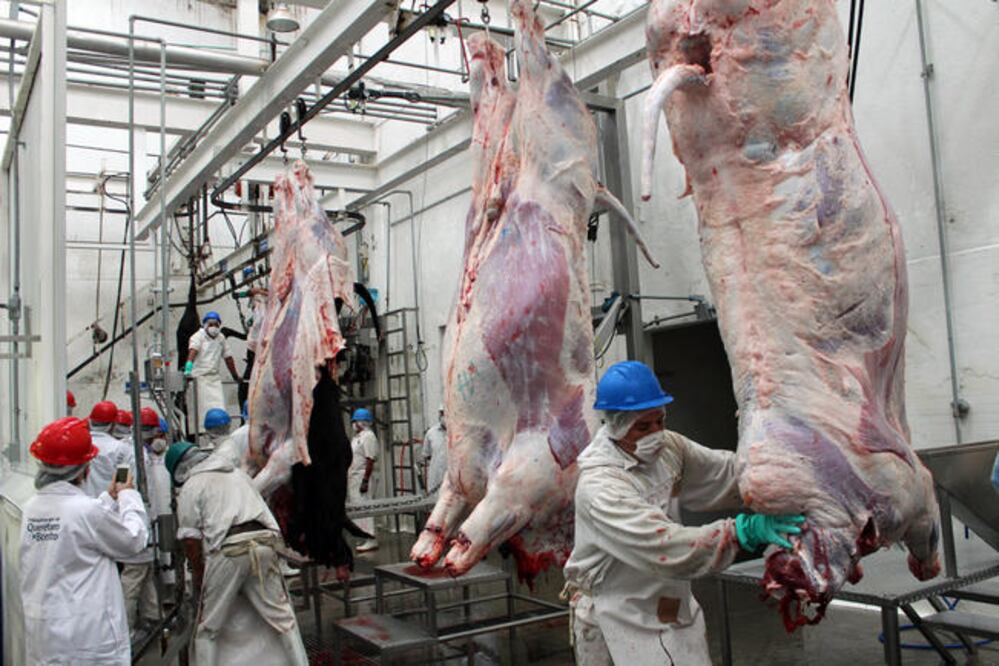 Autoridades estiman que se requieren 21 millones de pesos para poder crear el centro de matanza y suplir el actual. (FOTO: ARCHIVO EL UNIVERSAL)