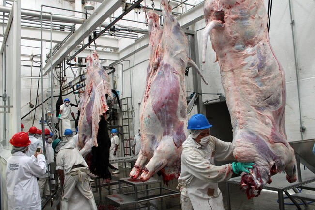 Autoridades estiman que se requieren 21 millones de pesos para poder crear el centro de matanza y suplir el actual. (FOTO: ARCHIVO EL UNIVERSAL)