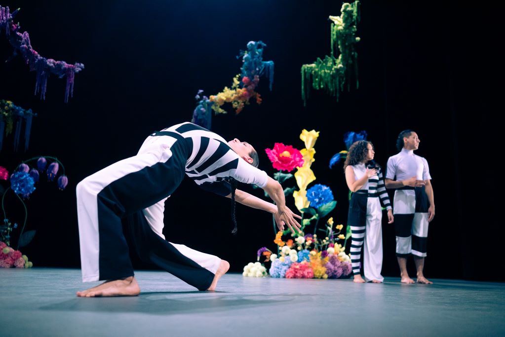 Parajes, un renacer a través de la danza