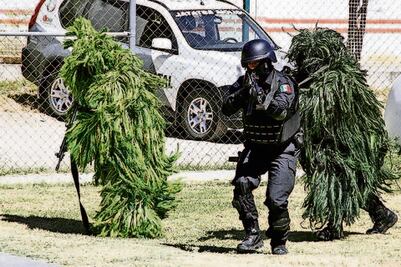 Proal sugiere impulsar Mando Único