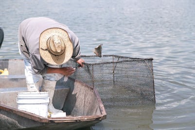 Prevé Sagarpa apoyos para sector pesquero