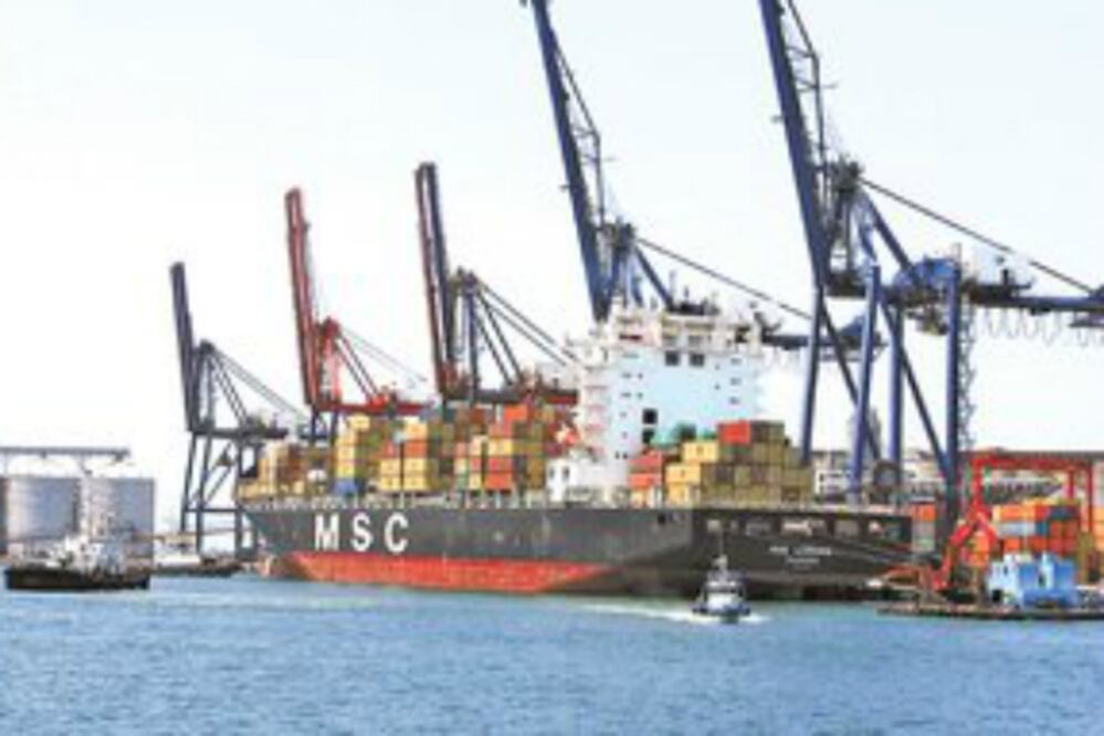 Experta llama a estrechar vínculos con socios