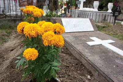 Validarán seguros para Jefas de Familia